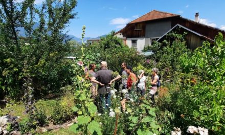 La tournée des jardins : un jardin à Fillinges • 5/7/2025