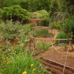 La tournée des jardins : jardins de Maurice à Villy et Annecy • 10/05/2025