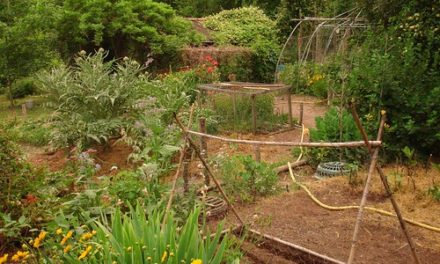 La tournée des jardins : jardins de Maurice à Villy et Annecy
